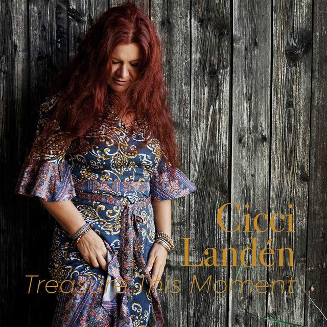 Cicci Landén - Treasure This Moment